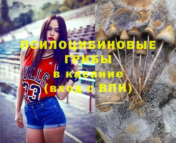 spice Волосово