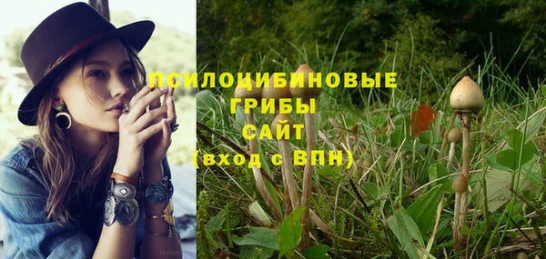 spice Волосово
