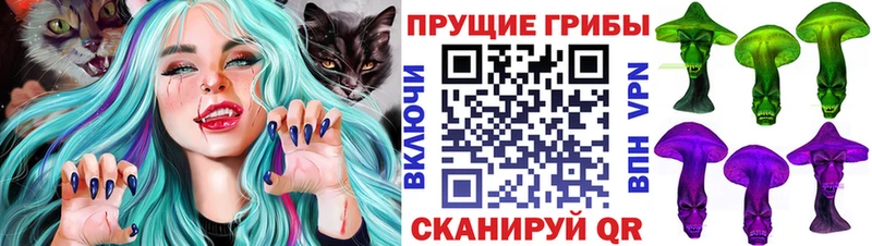 цена наркотик  Рузаевка  Галлюциногенные грибы Psilocybe 