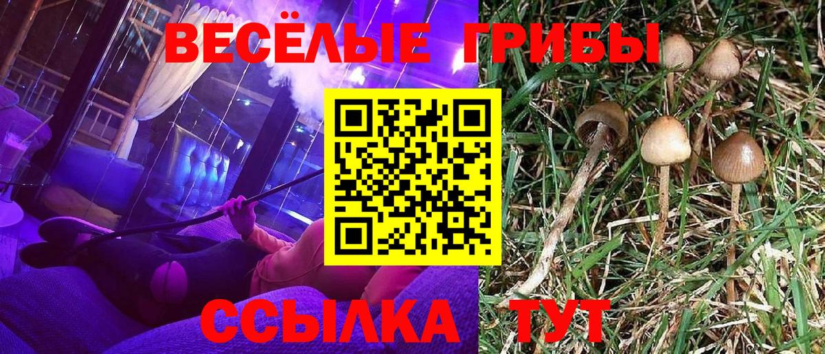 Галлюциногенные грибы MAGIC MUSHROOMS  Псилоцибиновые грибы Cubensis  Рузаевка  Вход с VPN 